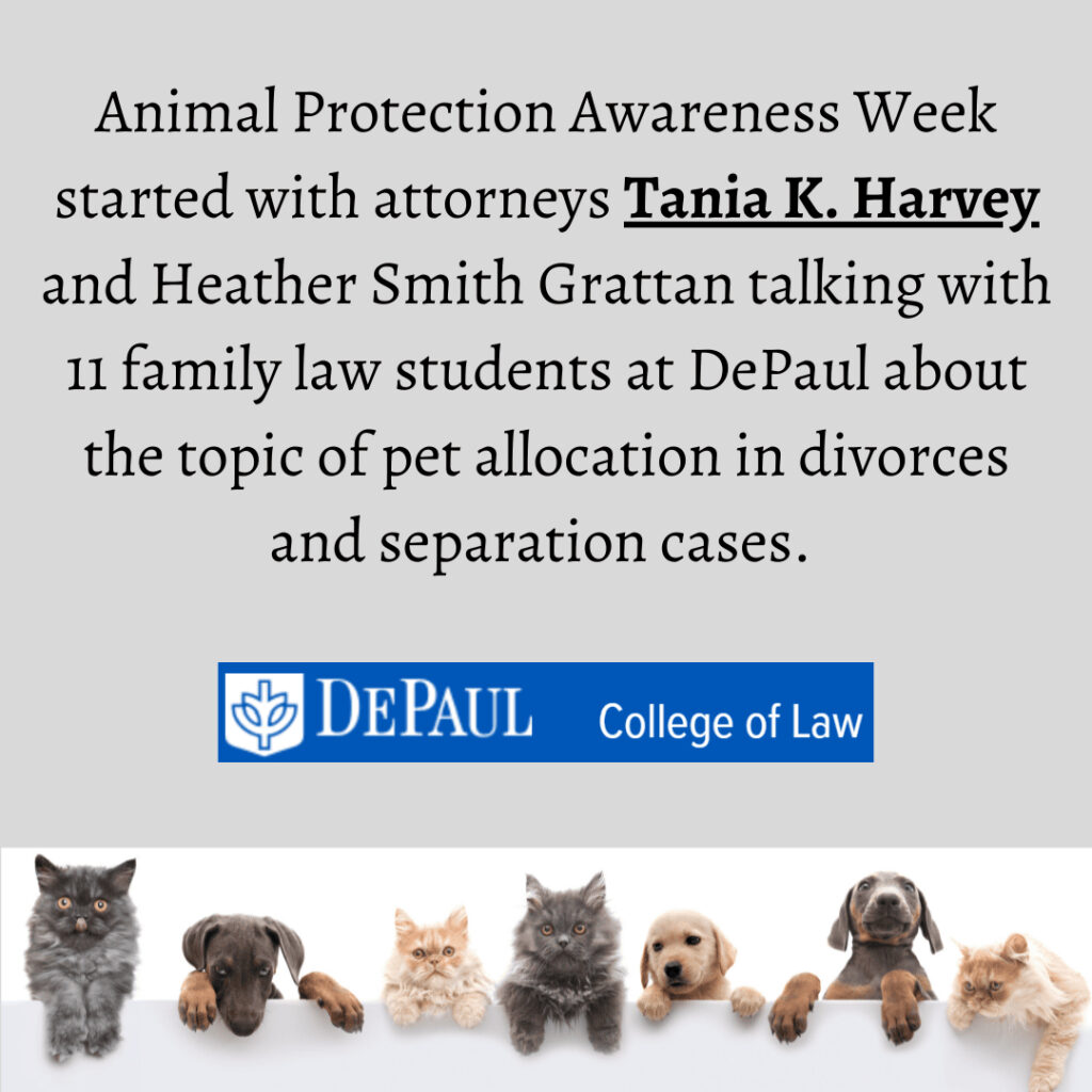 Illinois Divorce | Pets in Divorce | The Law Office of Tania K. Harvey