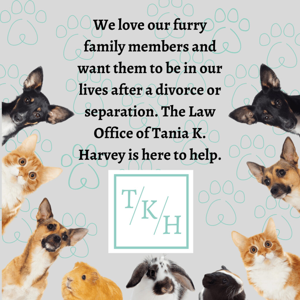 Illinois Divorce | Pets in Divorce | The Law Office of Tania K. Harvey